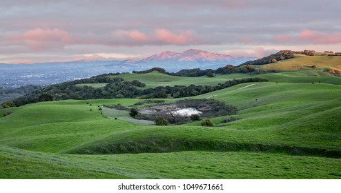 Sunset over Rolling Grassy Hills and Mount Diablo in Northern California. Views from Briones Regional Park, Contra Costa County, California, USA.