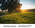 Sunset over the rolling hills of Umbria, Italy, with warm golden hues