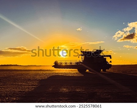 Similar – Image, Stock Photo A highlight shines over the forest in Burleigh Heads in the evening.