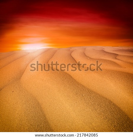 Similar – Starfish on a beach