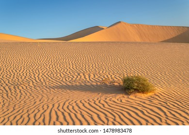 Sunset over the sand dunes in the desert - Shutterstock ID 1478983478