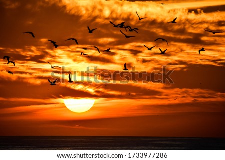 Similar – Image, Stock Photo towards the sun romantic