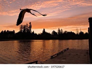 Sunset Over Silver Lake, Everett, Washington