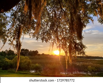 Sunset Over Silver Lake Swamp In Ocala FL.