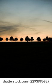 sunset over some tree silhouettes