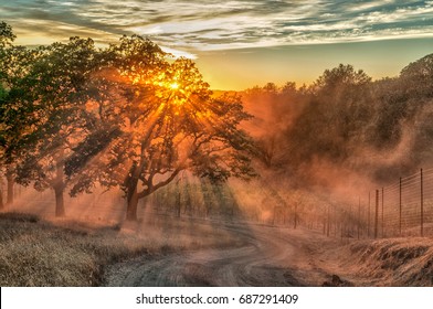 Sunset Over A Sonoma County Vineyard Near Cloverdale, CA