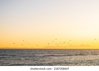 Sunset over Strand beach at the promenade, Cape Town’s mountains hiding in the distance with seagulls flying over the beautiful, evening ocean. - Powered by Shutterstock