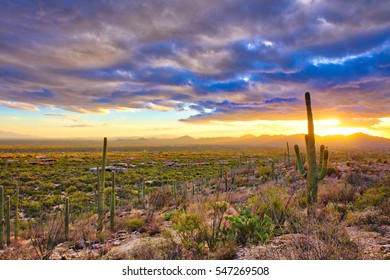 Sunset over suburb of Tucson.