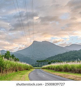 Sunset over the sugarcane fields of far north Queensland, Australia - Powered by Shutterstock