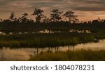 sunset over the swamp, the magic of the clouds 