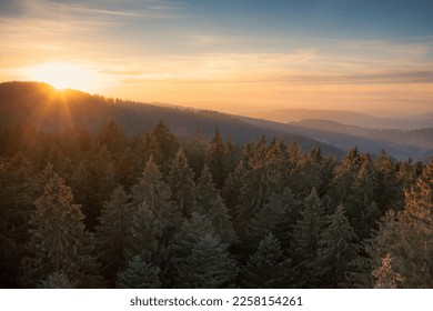 Sunset over switzerland with pine forest - Shutterstock ID 2258154261