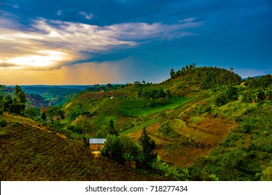 Sunset over the tea growing hills near Bwindi and Queen Elizabeth National Park, Uganda, Central Africa