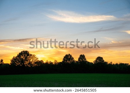 sunset over the tree line  