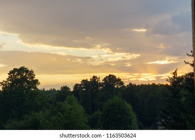 sunset over the trees