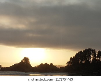 Sunset over trees