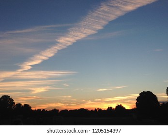 sunset over trees