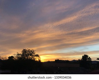 Sunset over trees