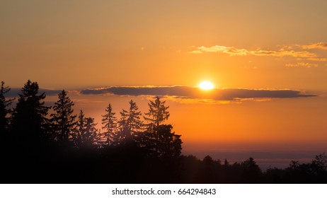 sunset over the trees