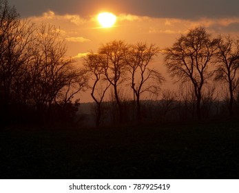 
sunset over the trees