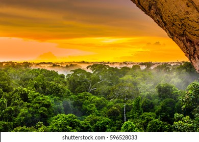 sunset over the trees in the brazilian rainforest of Amazonas - Shutterstock ID 596528033