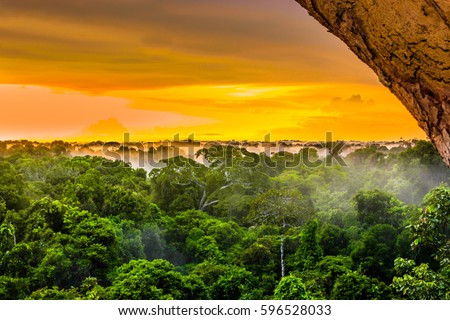 sunset over the trees in the brazilian rainforest of Amazonas