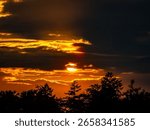 Sunset over the trees of a forest