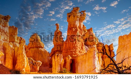 Sunset over the vermilion colored Hoodoos on the Queen's Garden Trail in Bryce Canyon National Park, Utah, United States