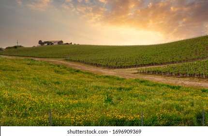 田園風景 High Res Stock Images Shutterstock