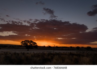 Sunset Over Waterhole In Kalahari Dessert