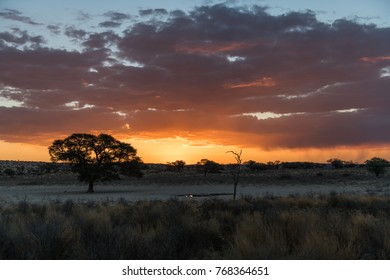 Sunset Over Waterhole In Kalahari Dessert