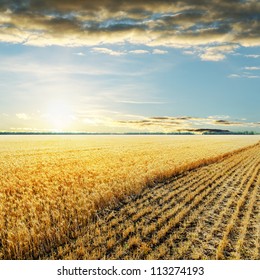 Sunset Over Wheat Field