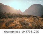 Sunset over the Window in Big Bend national park