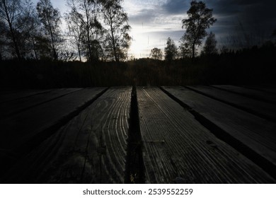 Sunset over wooden pathway in serene forest - Powered by Shutterstock