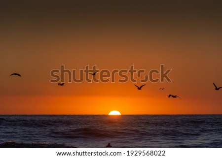 sunset in the pacific ocean
