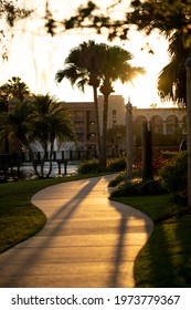 Sunset Palm Tree Path in Florida 