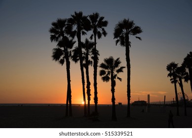 Sunset With Palm Tree Silhouette At Santa Monica Beach California Sunset With Palm Tree Silhouette At Santa Monica Beach California
