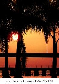 Sunset with Palm Trees