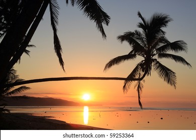 Sunset And Palm Trees On The Beach In Fiji