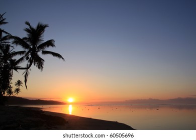 Sunset And Palm Trees On The Beach In Fiji