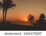 Sunset with palm trees at the Ritz Carlton in Tenerife, Spain