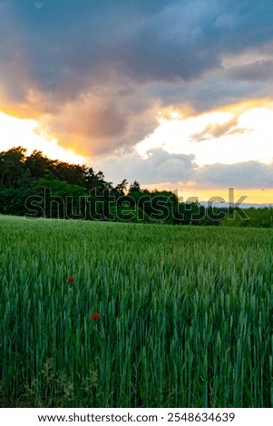 rhön, sunset, panorama, clouds, evening sky, forest, field, valley, meadow, drone, view, aerial view, stunning, wallpaper, fineart, sun, summer, mood