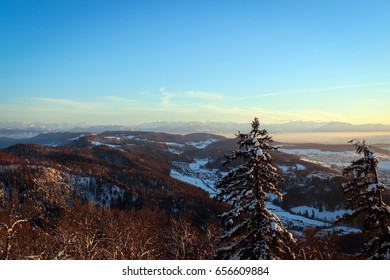 Sunset Panorama From The Top Of Uetliberg, Switzerland