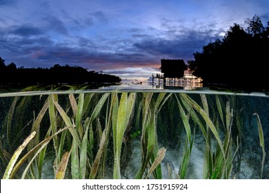 Sunset In Paradise Half Underwater