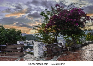 sunset in the park