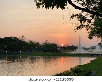 Sunset in the park