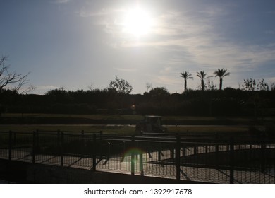 Sunset At Park Ariel Sharon, Israel