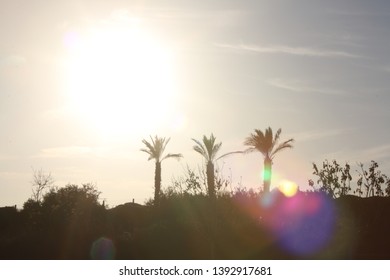 Sunset At Park Ariel Sharon, Israel