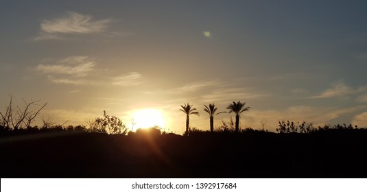 Sunset At Park Ariel Sharon, Israel