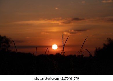 Sunset At Park In London 