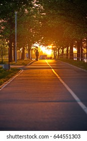 sunset park road - Shutterstock ID 644551303